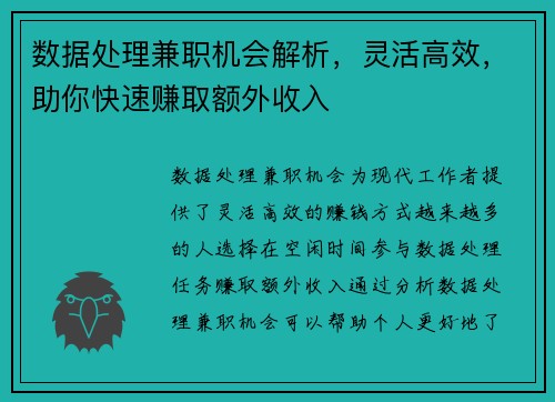 数据处理兼职机会解析，灵活高效，助你快速赚取额外收入