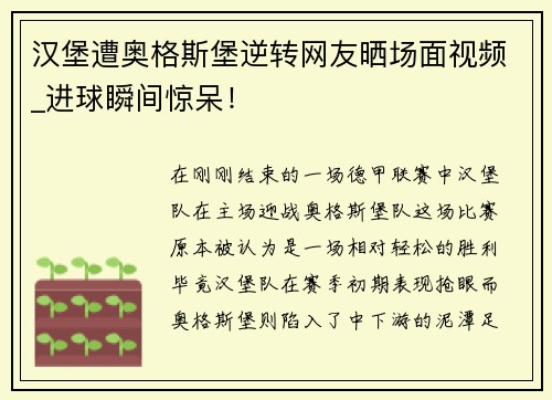 汉堡遭奥格斯堡逆转网友晒场面视频_进球瞬间惊呆！