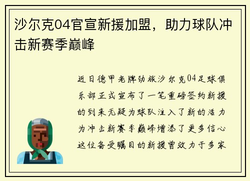 沙尔克04官宣新援加盟，助力球队冲击新赛季巅峰