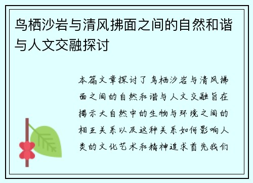 鸟栖沙岩与清风拂面之间的自然和谐与人文交融探讨